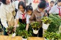 LỄ PHÁT ĐỘNG TRỒNG CÂY XANH VÀ HOA TRONG TRƯỜNG HỌC, NĂM HỌC 2025-2026