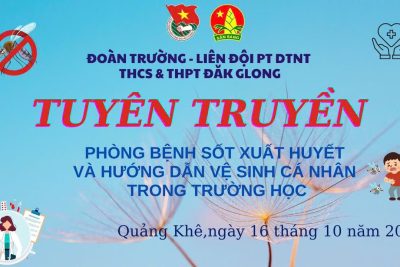 TUYÊN TRUYỀN PHÒNG BỆNH SỐT XUẤT HUYẾT